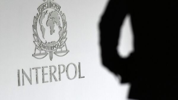 Interpol Request to Access