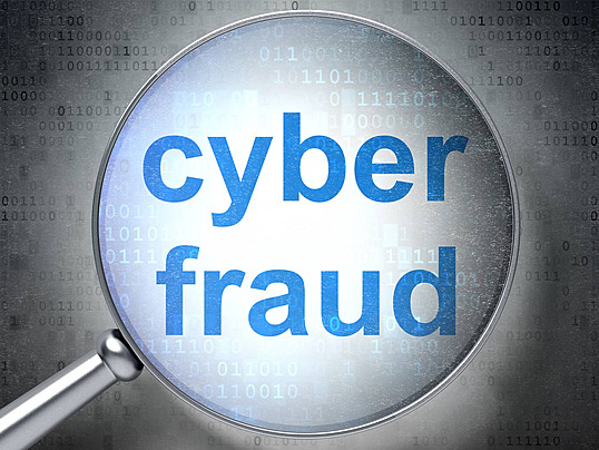 Cyber Fraud